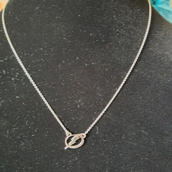 Sterling Silver Tampa Bay Ligtning Small (1/2 Inch) Pendant w/ 19" Necklace - Picture 2 of 9